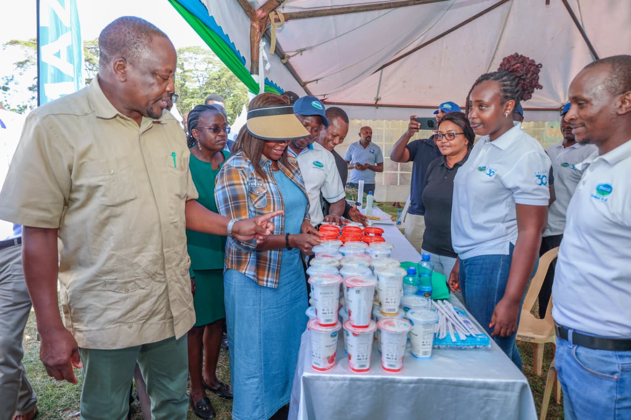 Kenya to Establish Animal Feed Reserves to Reduce 50 Billion-Shilling Livestock Losses During Drought
