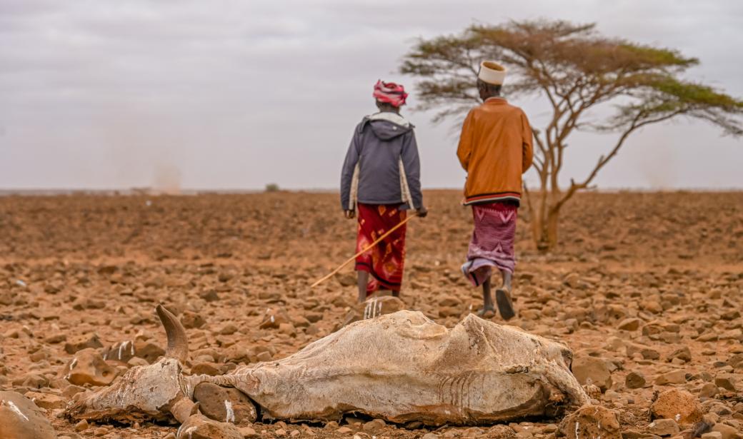 Kenya Listed Among Global Hotspots for Acute Food Insecurity