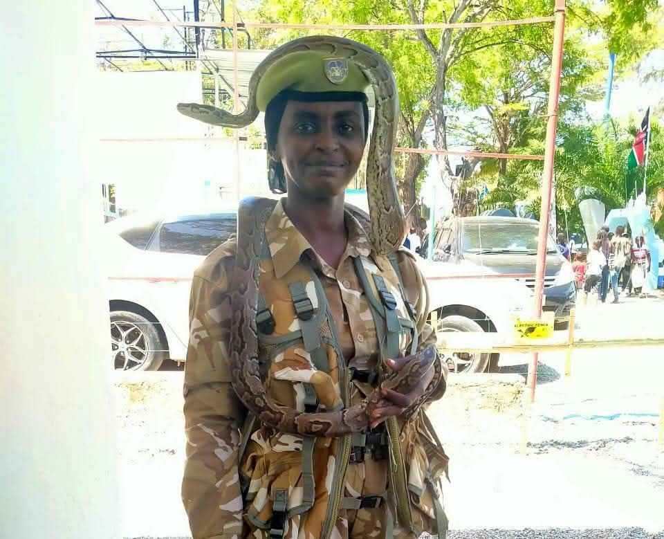 Rukiya Mohamed Breaks Barriers as the Only Female Snake Handler in Kenya’s Coast Conservation Area