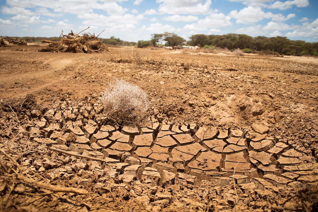 Mandera Leadership Challenged Over 'Millions' Jamhuri Day Venue Shift Amidst Severe Drought